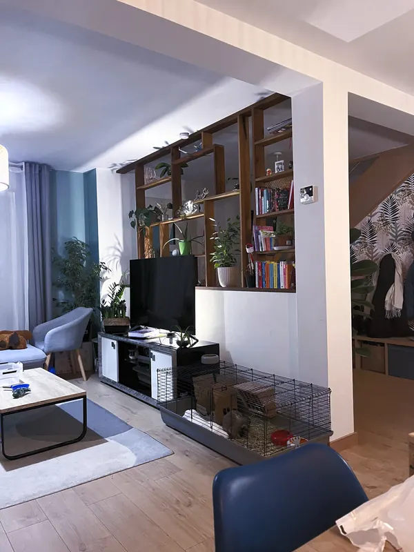 La bibliothèque vue depuis le séjour, derrière le meuble télé